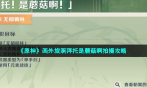 《原神》画外旅照拜托是蘑菇啊拍摄攻略