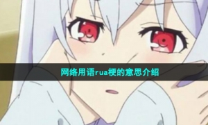 网络用语rua梗的意思介绍