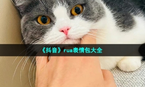 《抖音》rua表情包大全