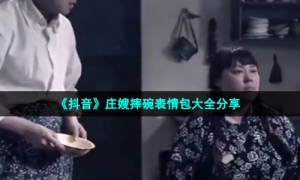 《抖音》庄嫂摔碗表情包大全分享