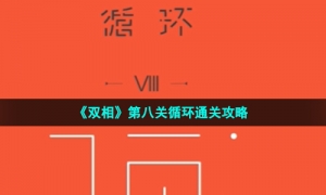 《双相》第八关循环通关攻略