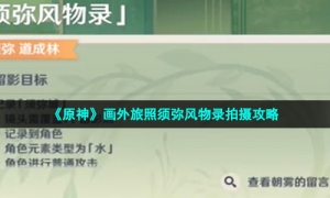 《原神》画外旅照须弥风物录拍摄攻略