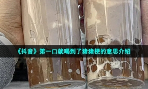 《抖音》第一口就喝到了猪猪梗的意思介绍