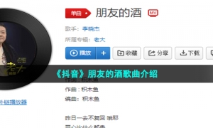 《抖音》朋友的酒歌曲介绍