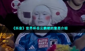 《抖音》世界杯岳云鹏梗的意思介绍