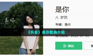 《抖音》是你歌曲介绍