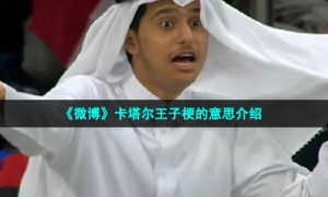 《微博》卡塔尔王子梗的意思介绍