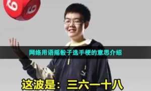 网络用语摇骰子选手梗的意思介绍