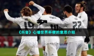 《抖音》心墙世界杯梗的意思介绍