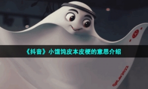 《抖音》小馄饨皮本皮梗的意思介绍