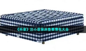 《抖音》汪小菲背床垫表情包大全