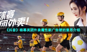 《抖音》杨幂美团外卖魔性新广告梗的意思介绍