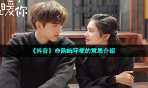 《抖音》命韵峋环梗的意思介绍