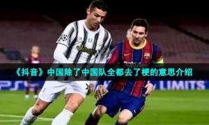 《抖音》中国除了中国队全都去了梗的意思介绍