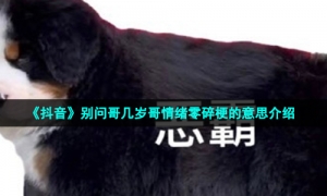 《抖音》别问哥几岁哥情绪零碎梗的意思介绍