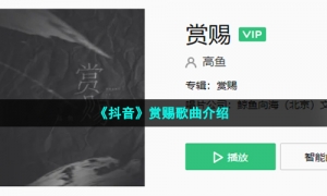 《抖音》赏赐歌曲介绍