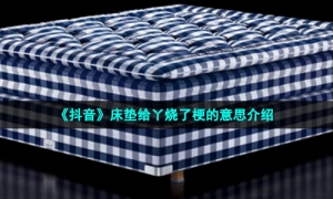 《抖音》床垫给丫烧了梗的意思介绍