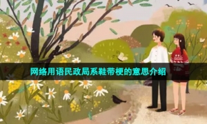 网络用语民政局系鞋带梗的意思介绍