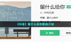 《抖音》留什么给你歌曲介绍