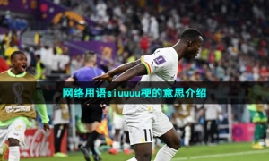 网络用语siuuuu梗的意思介绍