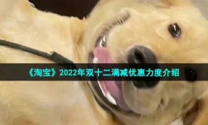 《淘宝》2022年双十二满减优惠力度介绍