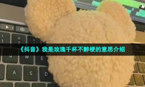 《抖音》我是玫瑰千杯不醉梗的意思介绍