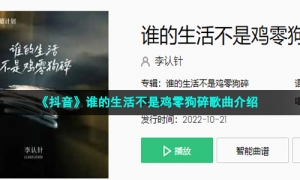 《抖音》谁的生活不是鸡零狗碎歌曲介绍