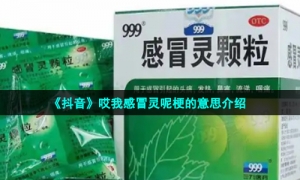 《抖音》哎我感冒灵呢梗的意思介绍