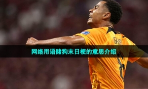 网络用语赌狗末日梗的意思介绍