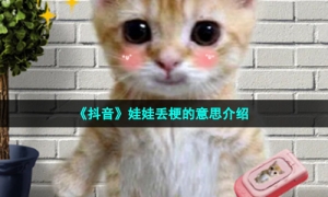 《抖音》娃娃丢梗的意思介绍