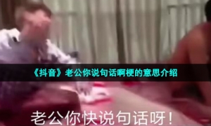 《抖音》老公你说句话啊梗的意思介绍