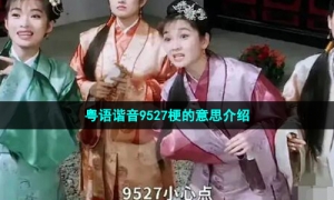粤语谐音9527梗的意思介绍