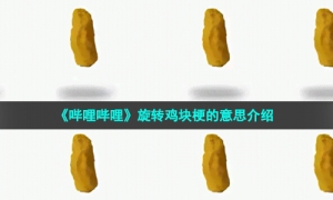 《哔哩哔哩》旋转鸡块梗的意思介绍