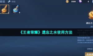 《王者荣耀》遗忘之水使用方法