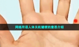 网络用语人体关机键梗的意思介绍