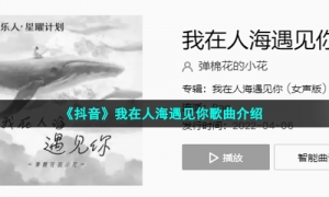 《抖音》我在人海遇见你歌曲介绍
