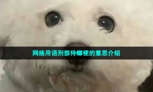 网络用语刑部侍螂梗的意思介绍