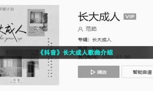 《抖音》长大成人歌曲介绍