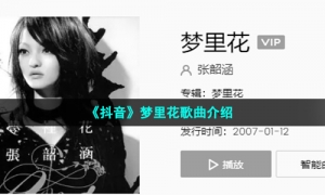 《抖音》梦里花歌曲介绍