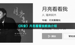 《抖音》月亮看看我歌曲介绍