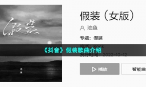 《抖音》假装歌曲介绍