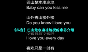 《抖音》巴山楚水凄凉地梗的意思介绍