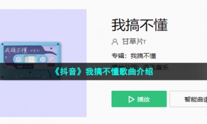 《抖音》我搞不懂歌曲介绍