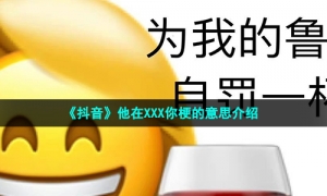 《抖音》他在XXX你梗的意思介绍