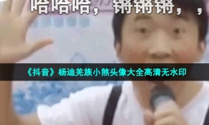 《抖音》杨迪羌族小煞头像大全高清无水印