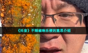 《抖音》不辣椒响乐梗的意思介绍