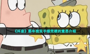 《抖音》那年我双手插兜梗的意思介绍