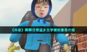 《抖音》卿卿日常返乡文学梗的意思介绍