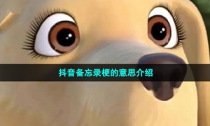 抖音备忘录梗的意思介绍