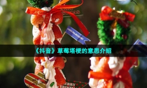 《抖音》草莓塔梗的意思介绍